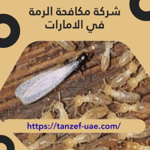 شركة مكافحة الرمة في الامارات 100% ضمان على مكافحة الرمة