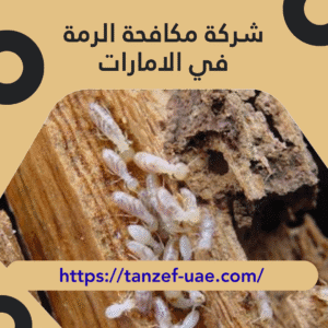 شركة مكافحة الرمة في الامارات 100% ضمان على مكافحة الرمة