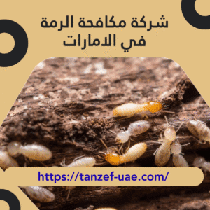 شركة مكافحة الرمة في الامارات 100% ضمان على مكافحة الرمة