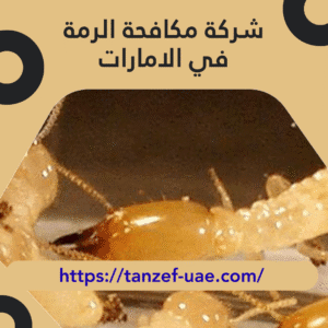 شركة مكافحة الرمة في الامارات 100% ضمان على مكافحة الرمة
