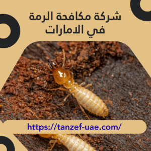 شركة مكافحة الرمة في الامارات 100% ضمان على مكافحة الرمة
